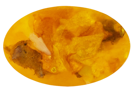 Neo Naturelle Dark Amber solid soap with golden botanicals